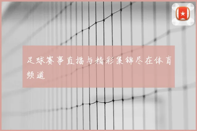 足球赛事直播与精彩集锦尽在体育频道